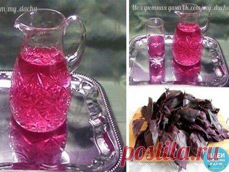 ВОСХИТИТЕЛЬНЫЙ НАПИТОК, ЛУЧШЕ ЛЮБОГО ЛИМОНАДА! 
Сохраните, чтобы не потерять! 

Ингредиенты: 
- небольшой пучок базилика 
- сахар 
- лимонная кислота 

Приготовление: 
1. Вскипятить воду (1,5 л). 
2. Бросить в кастрюлю пучок базилика. 
3. Добавить сахар (лучше немного), дать покипеть пару минут. Вода окрасится в зеленый цвет. Снять с огня и шумовкой убрать всю травку. 
4. Добавить по вкусу лимонную кислоту. Напиток приобретет сразу розовый цвет. 
5. Охладить. -