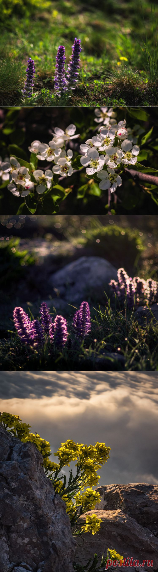 35PHOTO - Scorpio - Ещё про крымскую весну...