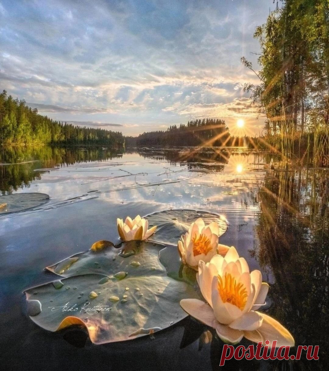 i (1080×1219)