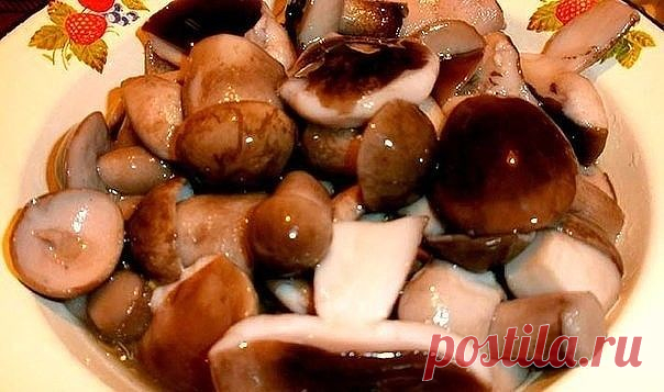 МАРИНАД ДЛЯ ГРИБОВ (Опят, маслят, белых и т. д. ) 

1 литр воды; 
2 ст. л. сахара; 
4 ч. л. соли; 
3 шт. лаврового листа; 
6 горошин душистого перца; 
4 шт. гвоздики; 
3 кусочка корицы (молотой ½ ч. л.) ; 
3 ч. л. уксусной эссенции 70 %. 

При использовании столового 5% уксуса необходимо взять 800 мл воды и 200
 мл 5% уксуса. При использовании 9% уксуса - 890 мл воды и 110 мл 9% 
уксуса. 

ПРИГОТОВЛЕНИЕ: 
Вскипятить воду, добавить специи, проварить минутки три (уксус добав...