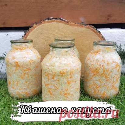 Капуста квашеная (солёная)
Рецепт моей мамы:
Шинкуем капусту либо ножом, либо как мы на шинковке
Добавляем немного натертой на крупной тёрке моркови, перемешиваем.
Взвешиваем и на каждый киллограм капусты, добавляем 10гр соли крупной (каменной)
Всё тщательно перемешиваем, даём постоять минут 10 и накладывает в банки плотно. Я утрамбовывала толкушкой 
Прикрываем не плотно крышкой и ставим в прохладное место на сутки- двое, периодически протыкаем капусту в банке деревянной пал