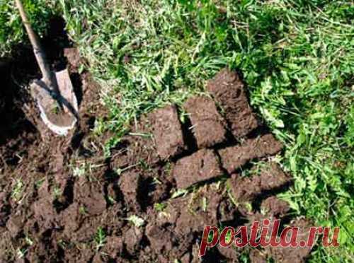 Как за 10 дней убрать дерн с участка — 6 соток