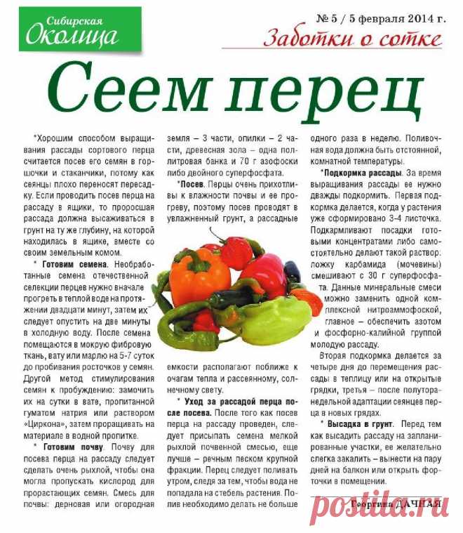 Сеем перец