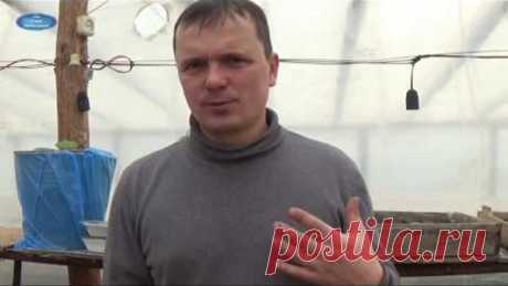 (4) Одноклассники