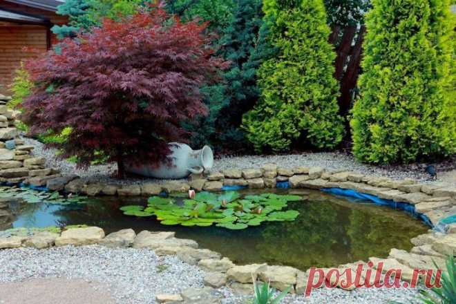 Pataria specialistai: kaip skoningai apželdinti sodybą FOTO