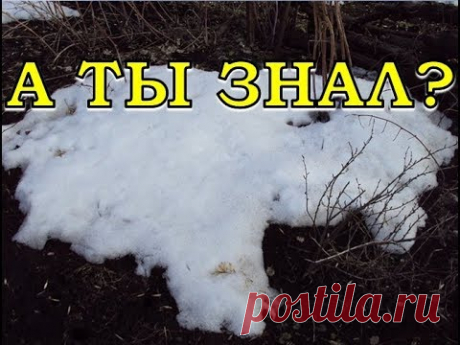 Какие УДОБРЕНИЯ можно разбрасывать ПО СНЕГУ?