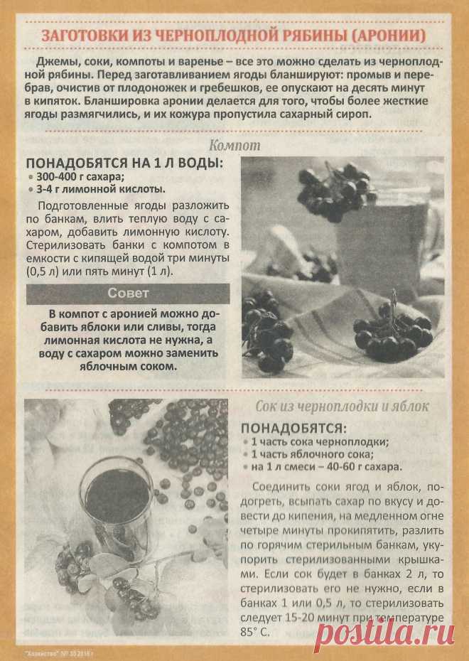 Компот из черноплодно рябины. Сок из черноплодки и яблок