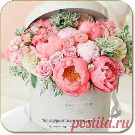 Всем добра !