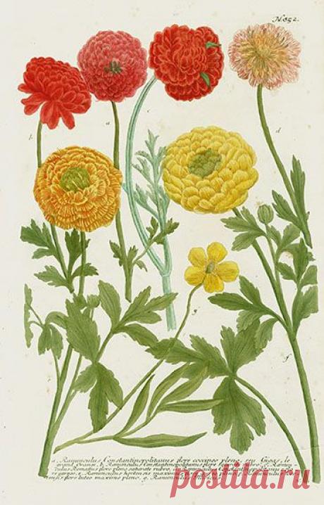 Найдено на сайте panteek.com.