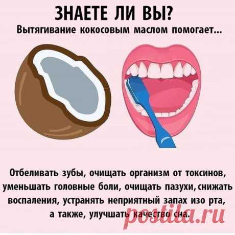 О пользе кокосового масла