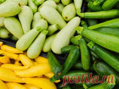 ТОП-8 самых вкусных рецептов с кабачками