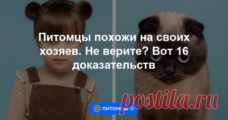 Питомцы часто очень похожи на своих хозяев. Фотограф Джерард Геттингс решил запечатлеть это в своем проекте!
