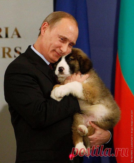 Владимир Путин и его собаки