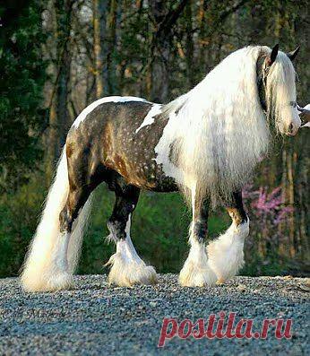 В таком прикиде хоть на подиум!