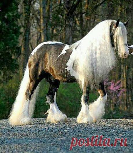 В таком прикиде хоть на подиум!