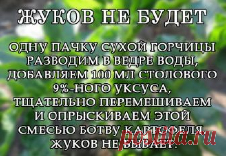 БЕРЁМ НА ЗАМЕТКУ!