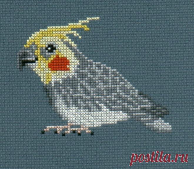 Diagrama de punto de cruz contado de cacatúa - Etsy España