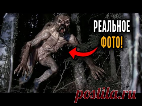 Человек ПЕРЕЖИВШИЙ УЖАСНУЮ встречу с DOGMAN делает ШОКИРУЮЩИЕ СНИМКИ!