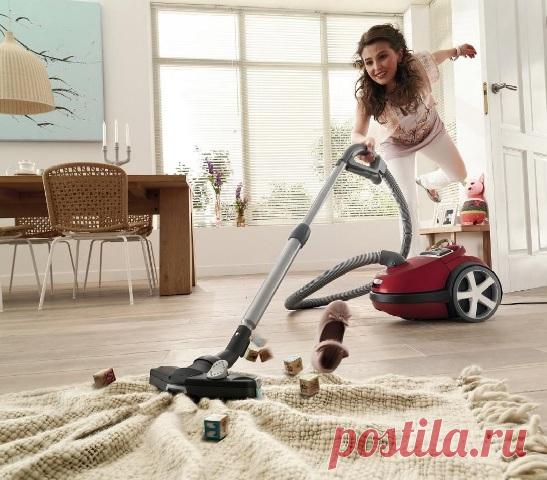 Ни пылинки, ни соринки: тройка лучших мешковых пылесосов для сухой уборки