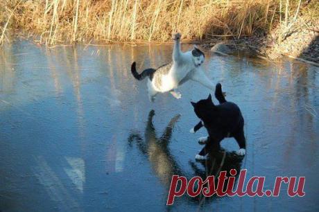 Битва на Чудском озере.