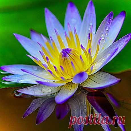 Редактировать описание