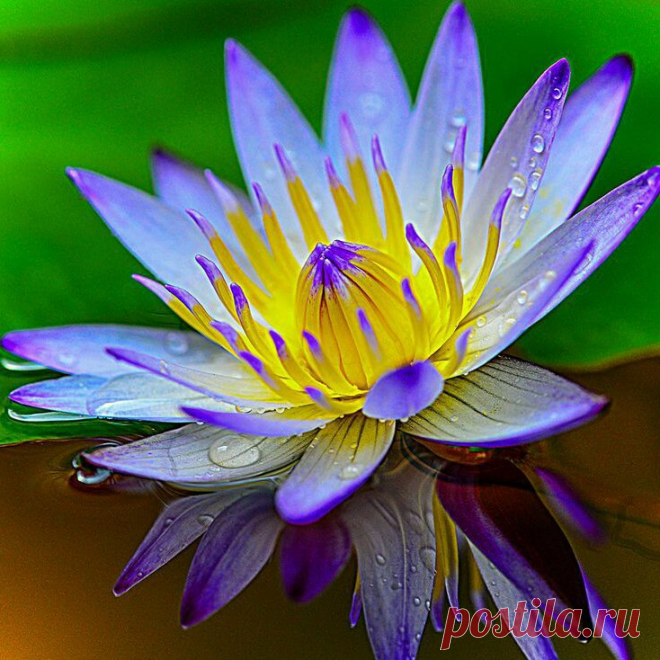 Редактировать описание