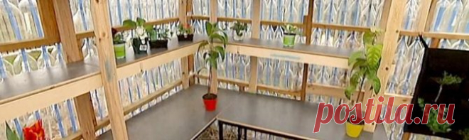 Как построить парник из пластиковых бутылок своими руками — пошаговая инструкция с фото, видео и чертежами