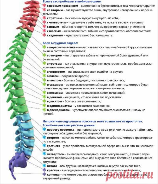 Проблемы с позвоночником и лишний вес