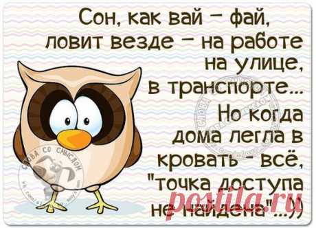 Подборка шуток о жизни женщинах
