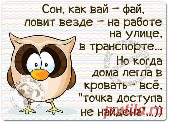 Подборка шуток о жизни женщинах