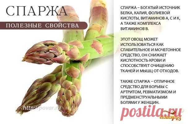 Галина Тушканова