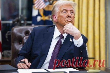 Трамп высказался о членстве Украины в НАТО