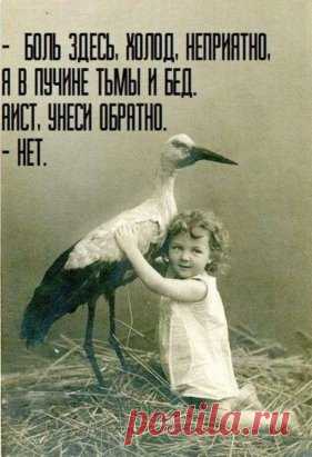 Одноклассники