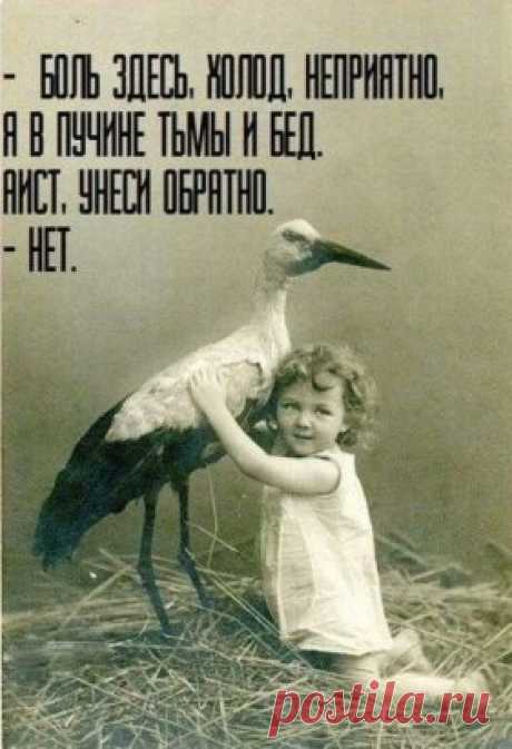 Одноклассники