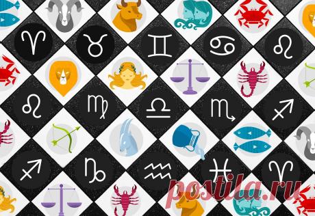 Каким будет год Желтой Земляной Собаки для знаков Зодиака | nakonu.com