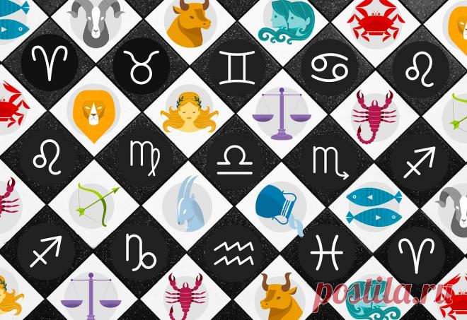 Каким будет год Желтой Земляной Собаки для знаков Зодиака | nakonu.com