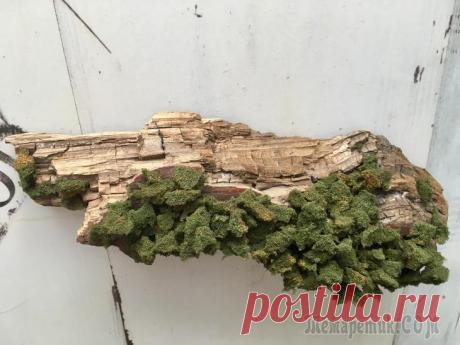 Искусственный мох с помощью губки для посуды