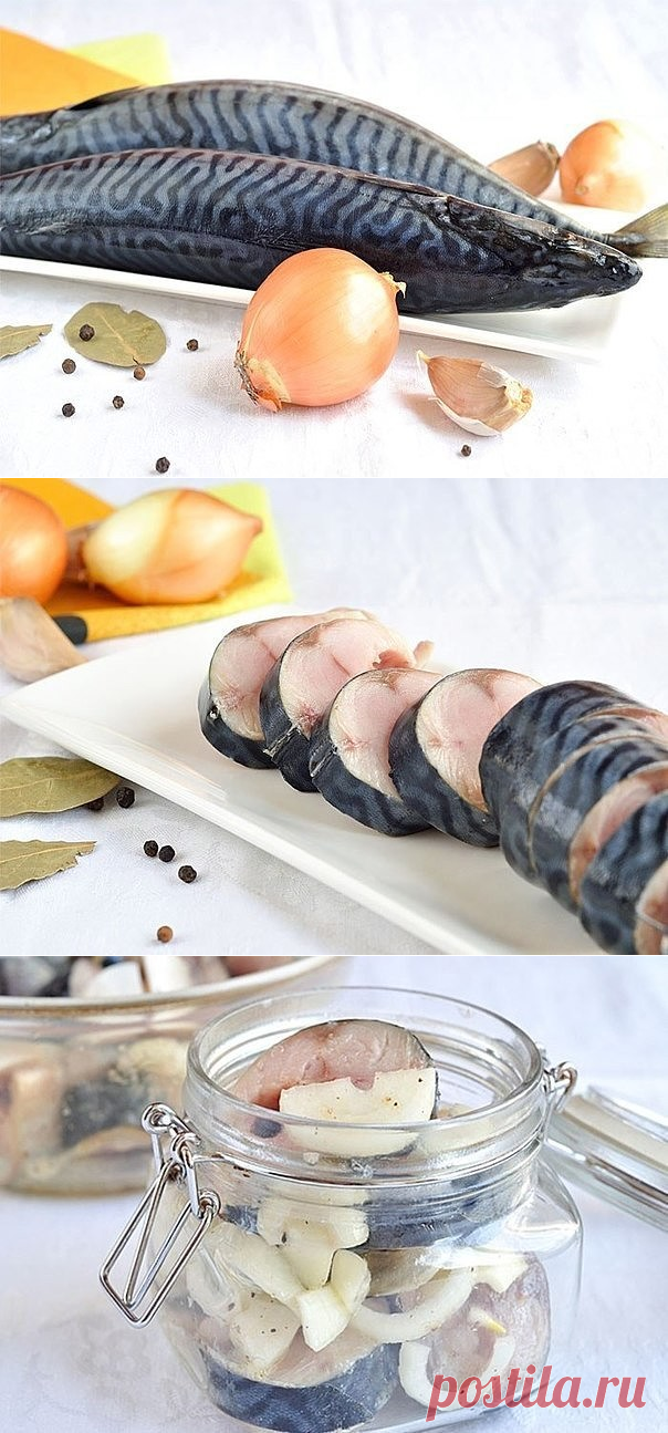 маринованная скумбрия