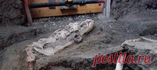 Возможно, этих ретивых скакунов холили и лелеяли в помпейских конюшнях; их украшали дорогой сбруей и сёдлами, а после надеялись спастись на них от извержения, уничтожившего древнеримский город. Но коней постигла та же судьба, что и жителей Помпеев – остаться погребёнными под слоем вулканического пепла.