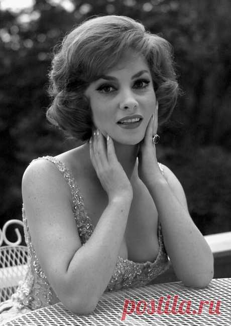Gina Lollobrigida