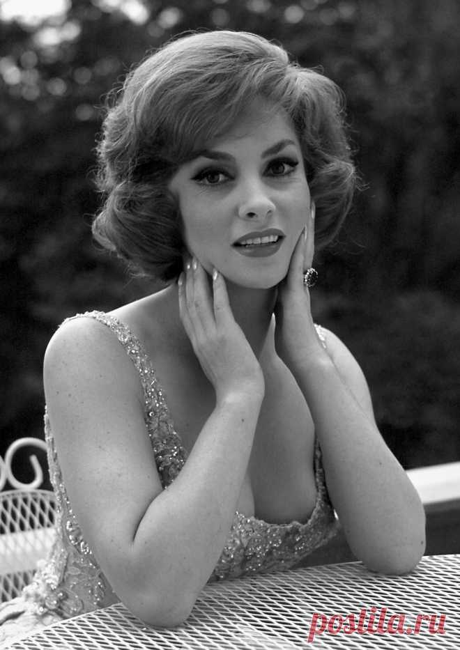 Gina Lollobrigida