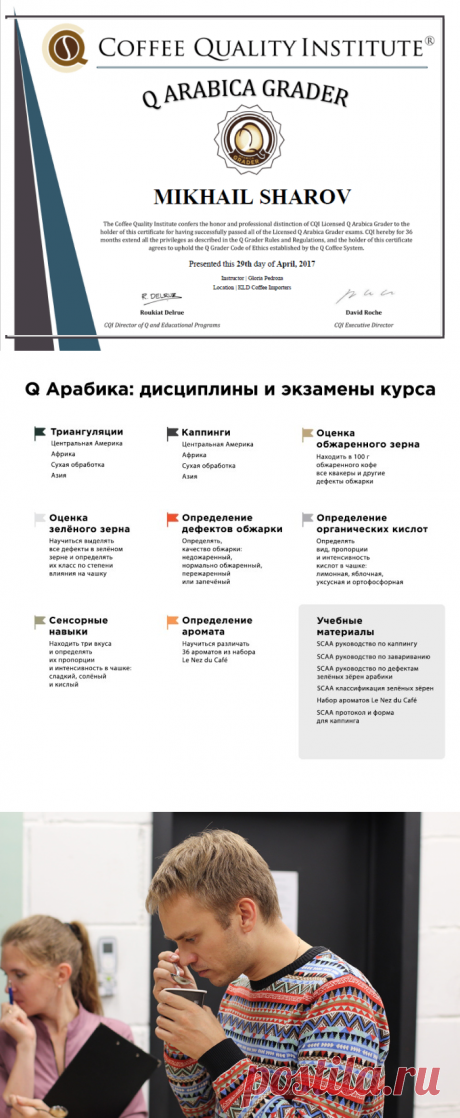 Кто такие Q-грейдеры | | Кухня Кухня