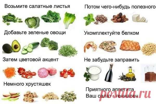 "Коралловый Клуб"