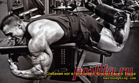 Сгибания ног в тренажере. Качаем бицепс бедра | bestbodyblog.com