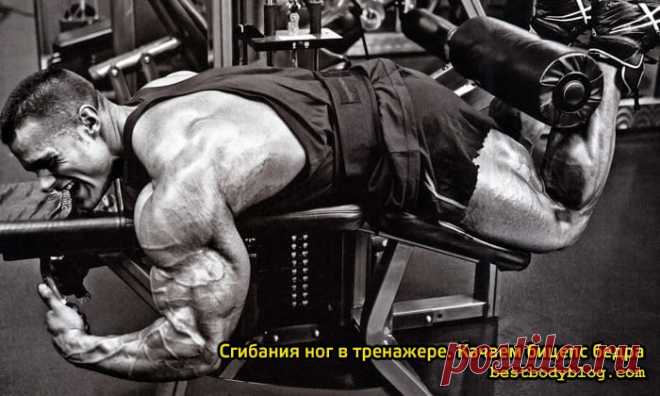 Сгибания ног в тренажере. Качаем бицепс бедра | bestbodyblog.com