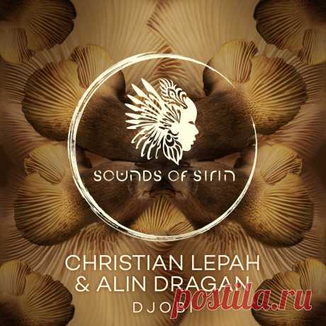Alin Dragan - Djobi