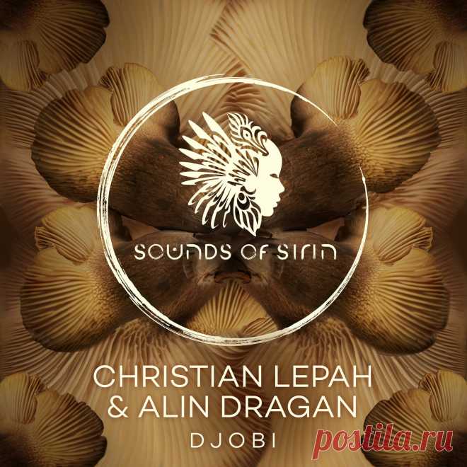 Alin Dragan - Djobi