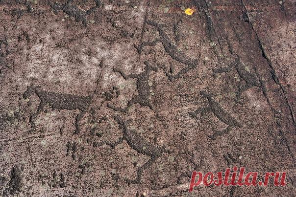 Беломорские петроглифы | Из серии 