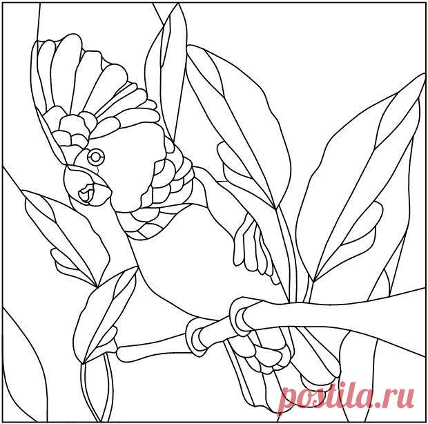 (8) Gallery.ru / Фото #16 - Витражи - anturium