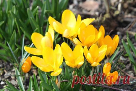 Всех с первым днем весны, друзья. 
Улыбок и хорошего настроения всем 
________________________________ 
#Весна 
#тепло 
Показать полностью…